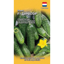 Семена "Огурец Директор F1 " 5шт Н20 (Голландия) Гавриш