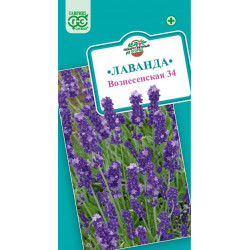 Семена "Лаванда Вознесенская 34" 0,05г, Гавриш, Лекарственная