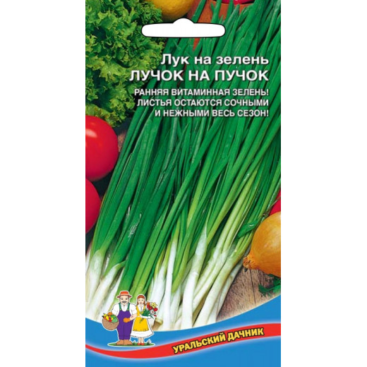Семена "Лук на зелень Лучок на пучок" УД Е/П