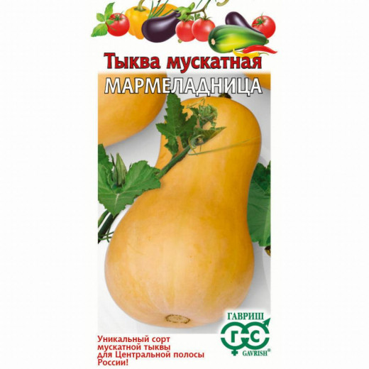 Семена "Тыква Мармеладница", мускатная, 2г, Н22 Гавриш