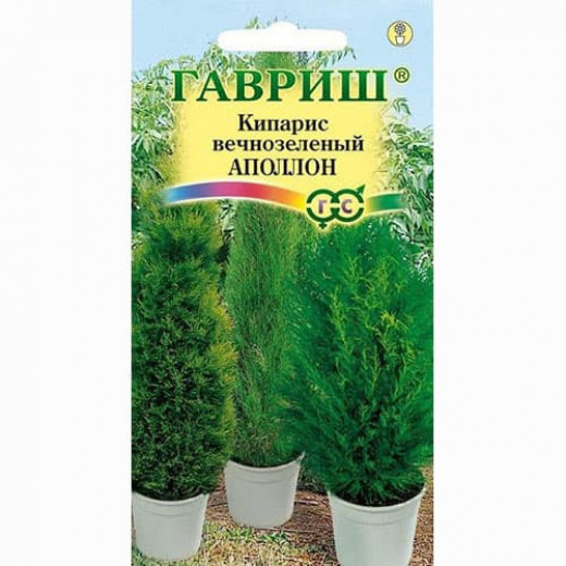 Семена "Кипарис Апполон " 0,1г. Гавриш h=0,3, хорошо переносит стрижку