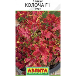 Семена "Цветы Колоча" 5шт, F1, роуз, h=0,4-0,45, ажурно-кудрявая , Аэлита
