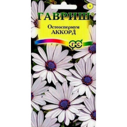Семена "Цветы Остеоспермум Аккорд" 0,1г, однол, Гавриш