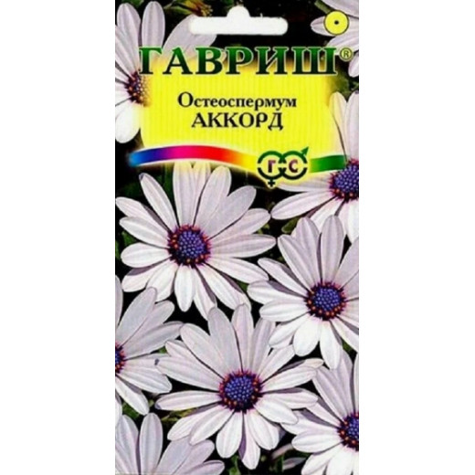 Семена "Цветы Остеоспермум Аккорд" 0,1г, однол, Гавриш